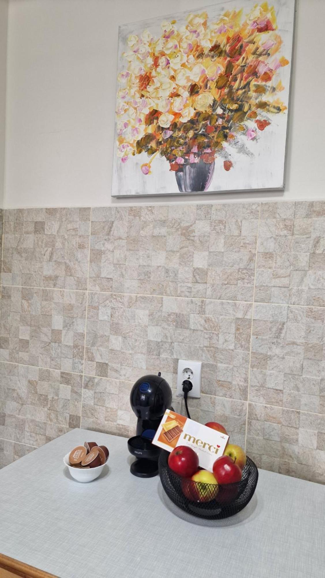 Ambasador Apartment Sibiu Ngoại thất bức ảnh